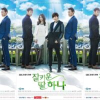 韓国ドラマ「大切に育てた娘　ハナ」キャスト
