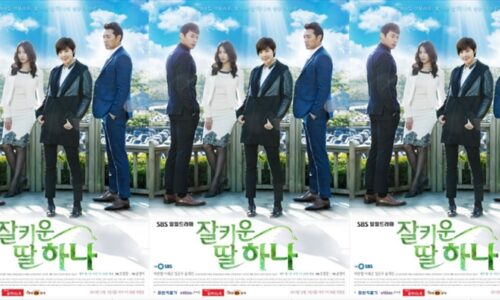 韓国ドラマ「大切に育てた娘　ハナ」キャスト