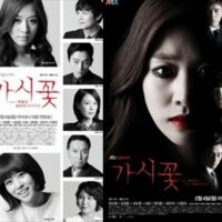 韓国ドラマ「いばらの花」キャスト